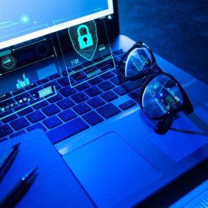 Cybersecurity and Data Privacy Elk Grove Village