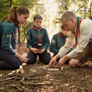 What Level of Education Do Arborists Need