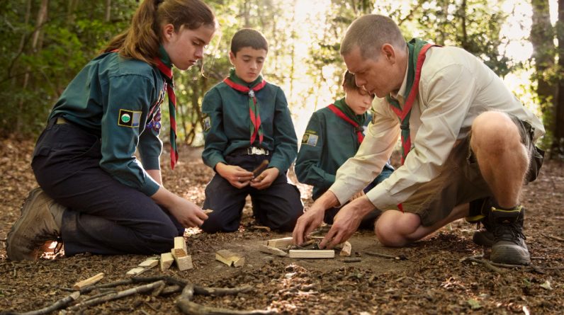 What Level of Education Do Arborists Need