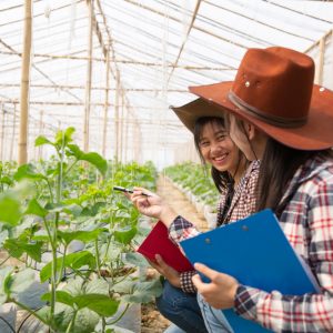 What Level of Education Do You Need for Horticulture