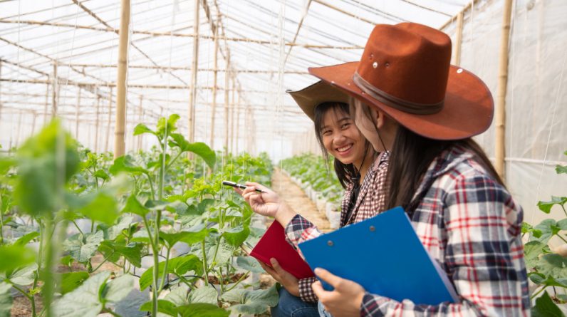 What Level of Education Do You Need for Horticulture