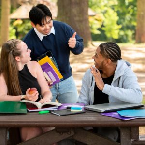 What is Higher Secondary Education