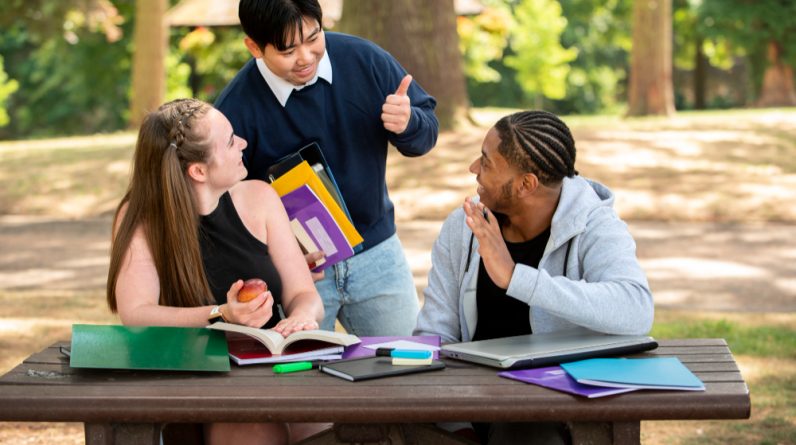 What is Higher Secondary Education
