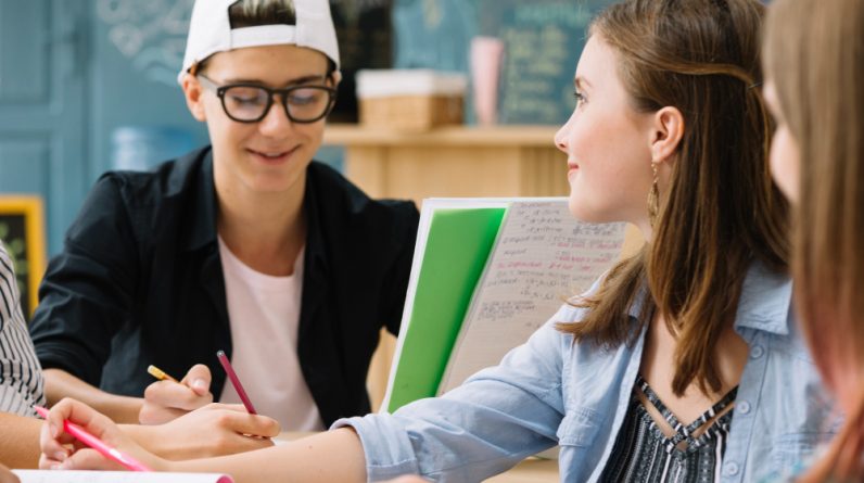 What is PLC in Education