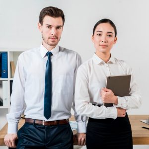 Interim Sales Manager